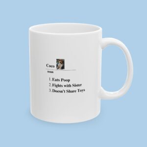 Personalized Pet Noun Ceramic Mug